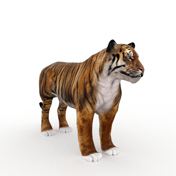 bengal tiger blend