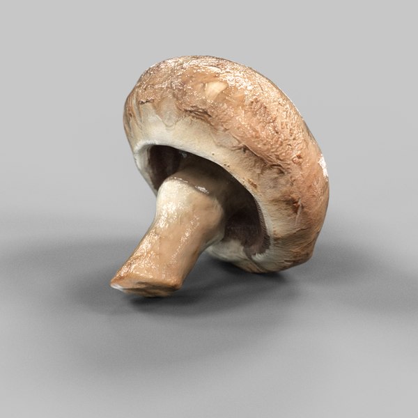食用蘑菇3d模型