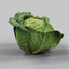3d model savoy cabbage
