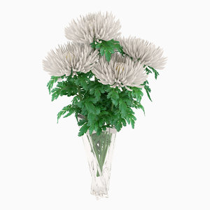 ma vase chrysanthemums