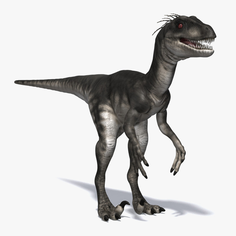 3d model raptor carnivore