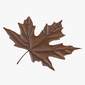3d model brown maple leaf