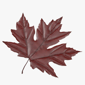 red maple leaf 3d max