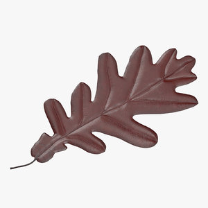 3d red oak leaf model
