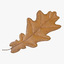 3d yellow oak leaf model
