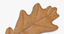 3d yellow oak leaf model
