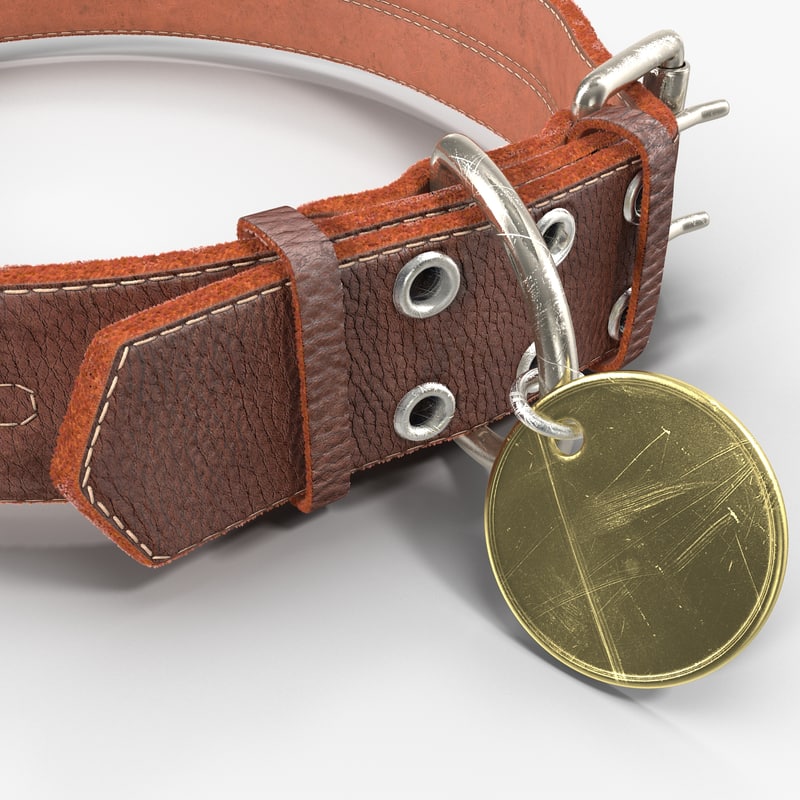 dog collar 3d max
