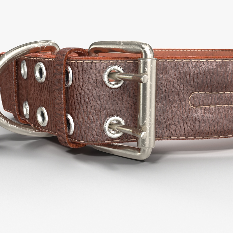 alu-max dog collars Top 10 alu max dog collars