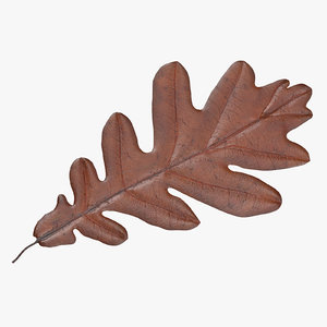 3d model orange oak leaf