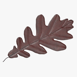 3d red oak leaf