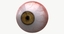 realistic human creature eye pupil 3d model