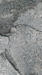 stone and pine forest ground