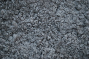 Fur_Texture_0013