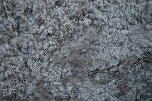 Fur_Texture_0014