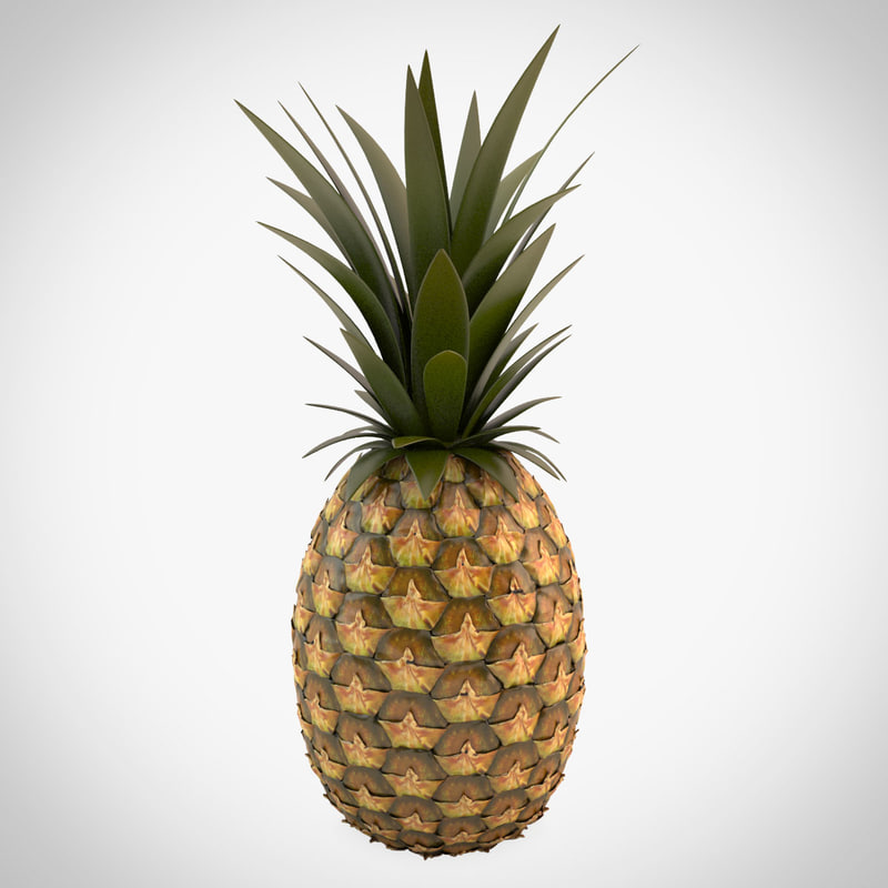 pineapple-3d-model