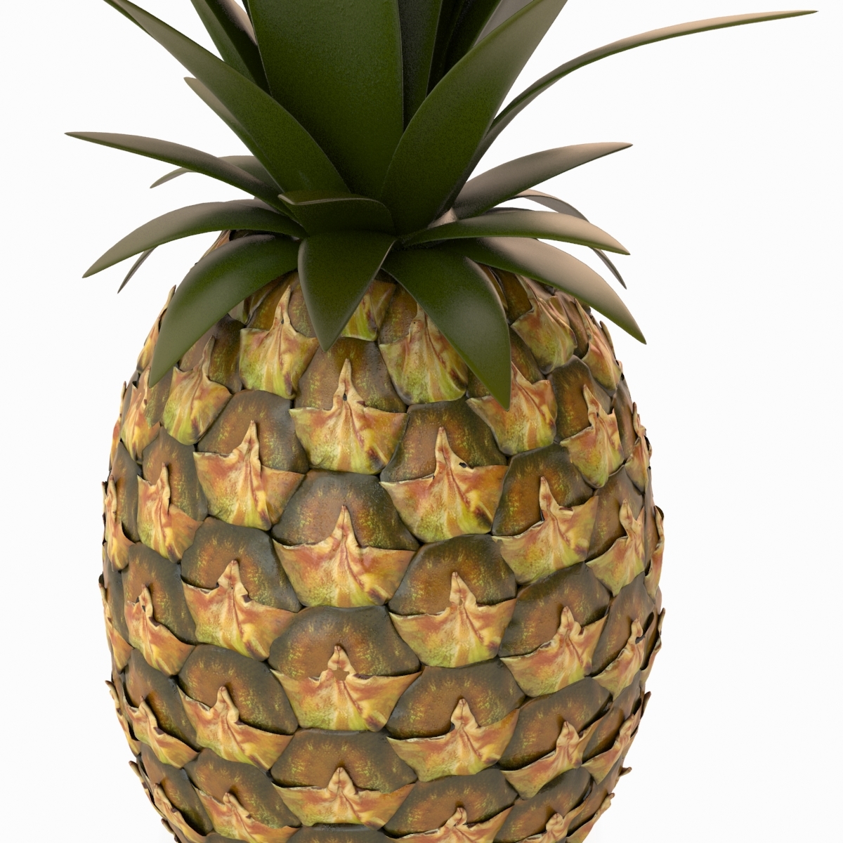 pineapple 3d model