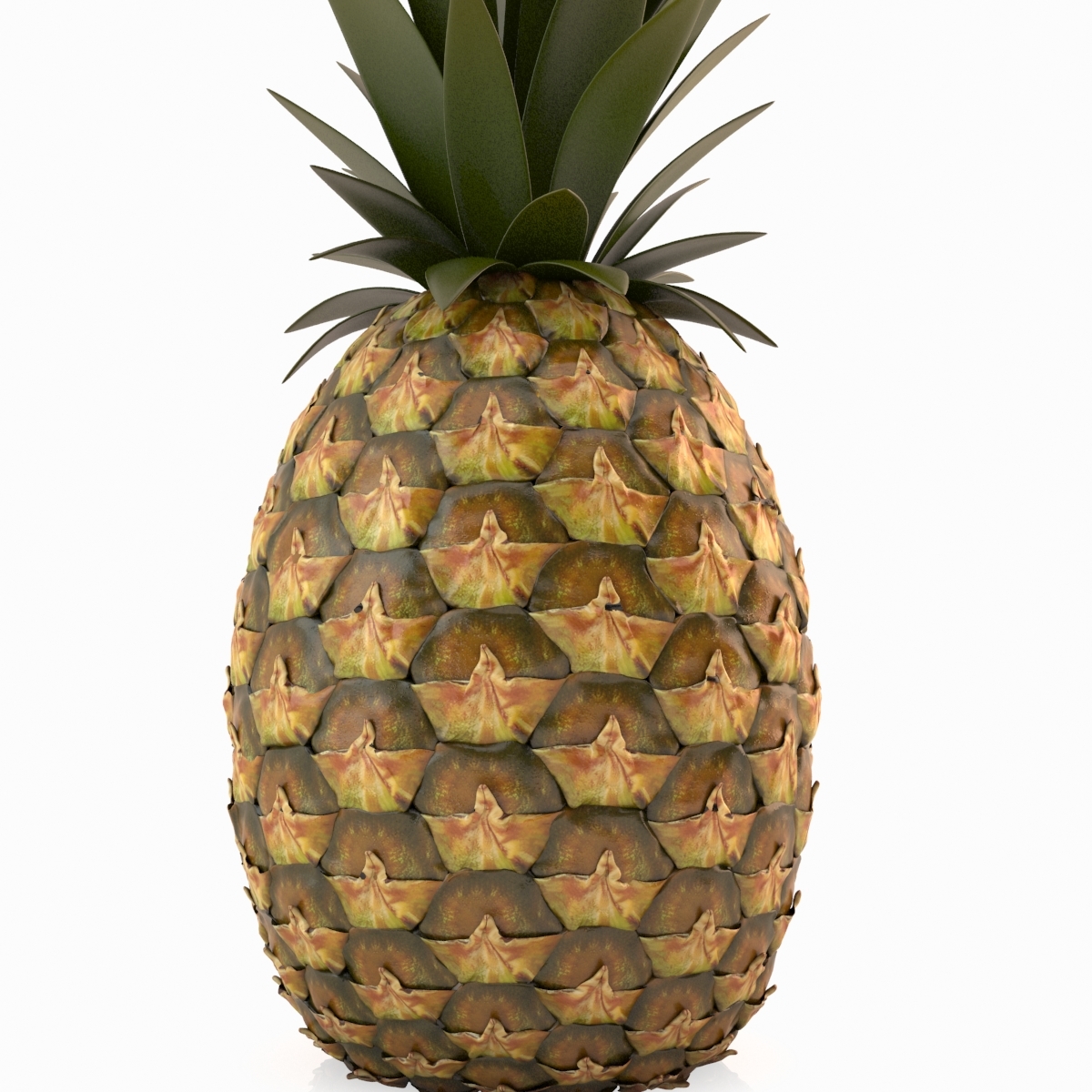 pineapple-3d-model