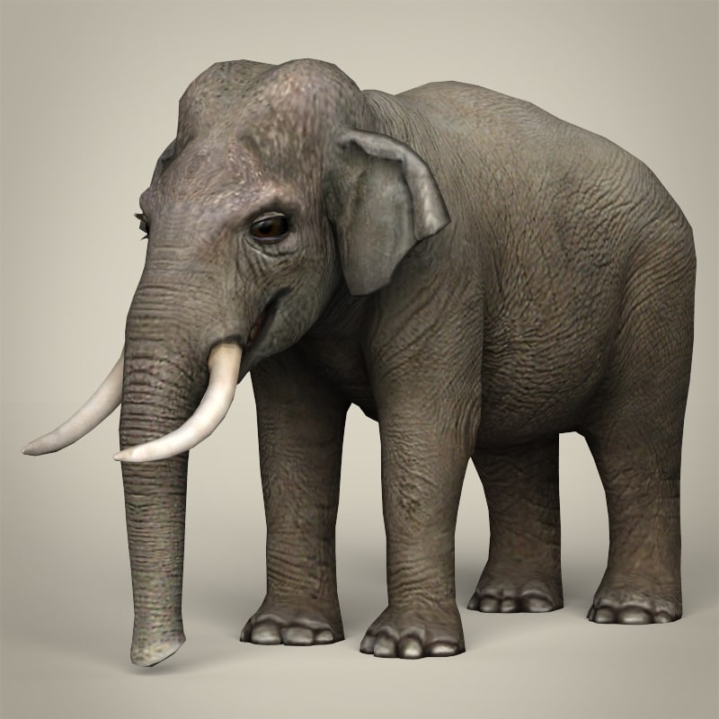 3d realistic elephant