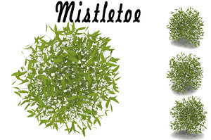 3d model mistletoe