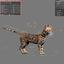 bengal cat animation 3d model