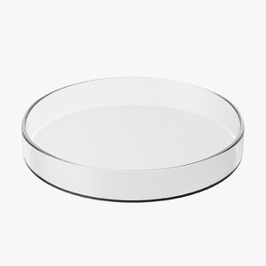 3d glass dish model