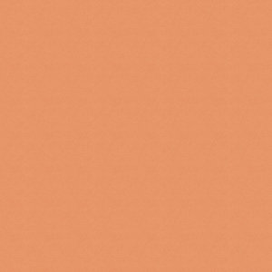 human skin 1e