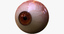 3d realistic human creature eye pupil model