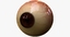 obj realistic human creature eye pupil