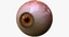 obj realistic human creature eye pupil