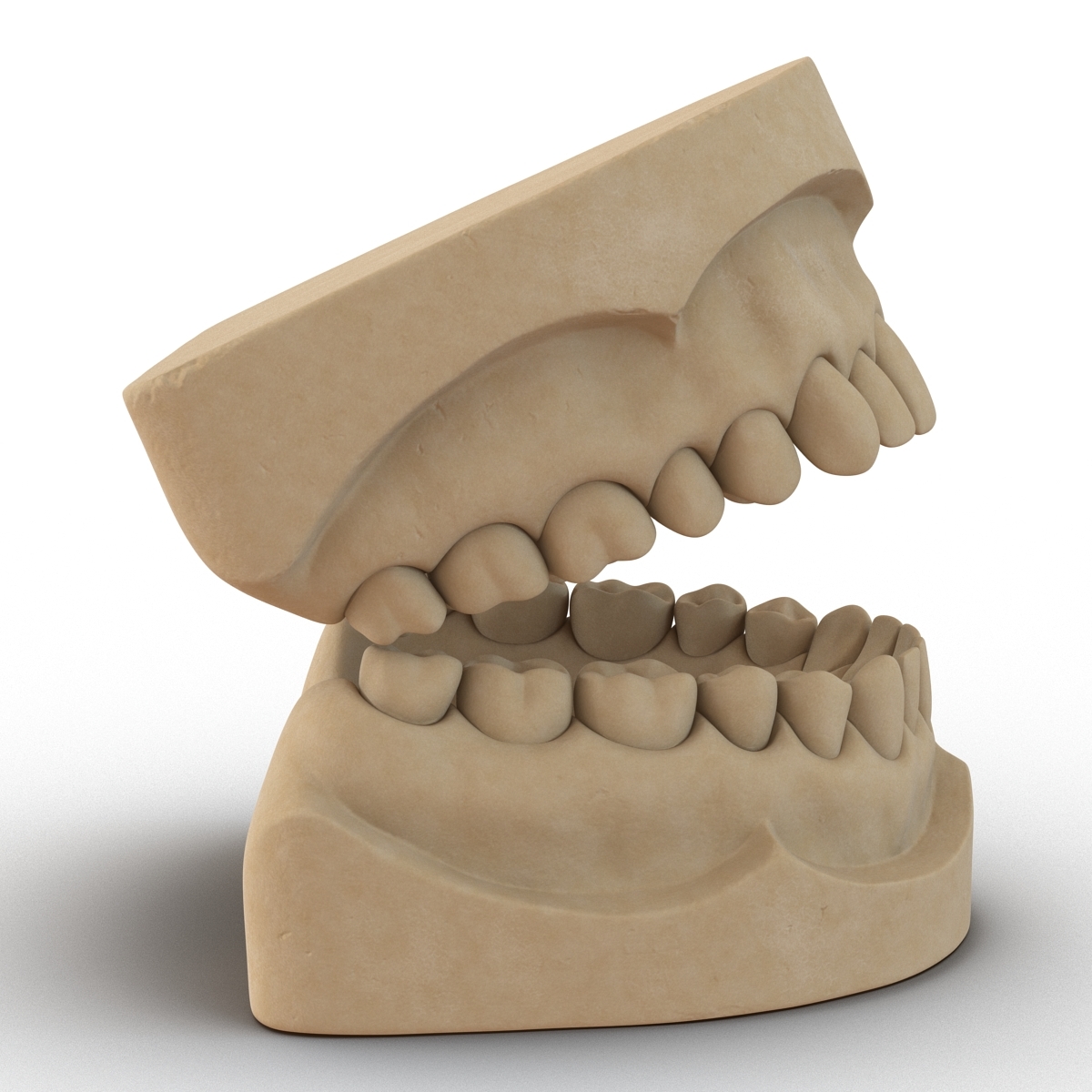 3d dental mold model