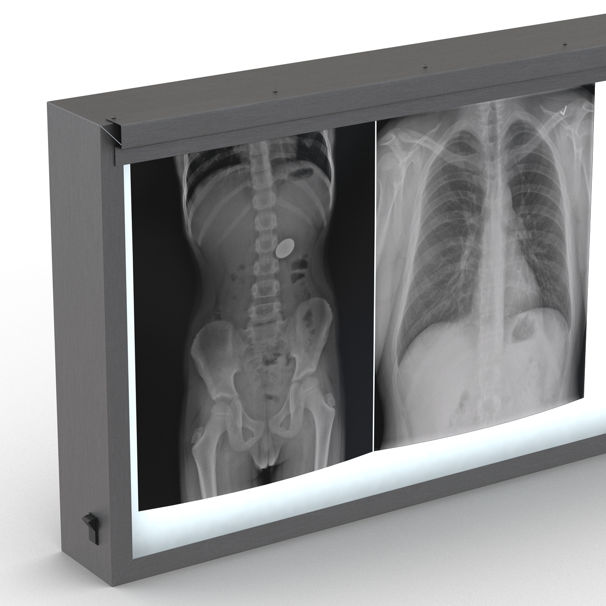 3d model xray light box x