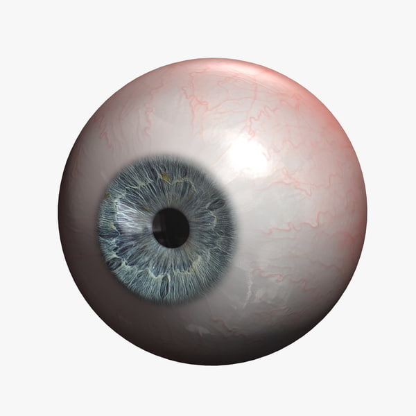 Eyes 3D Models for Download | TurboSquid