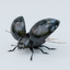 obj black beetle