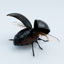 obj black beetle
