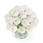 bouquet white roses flat glass 3d max