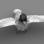dove animation bird 3d model
