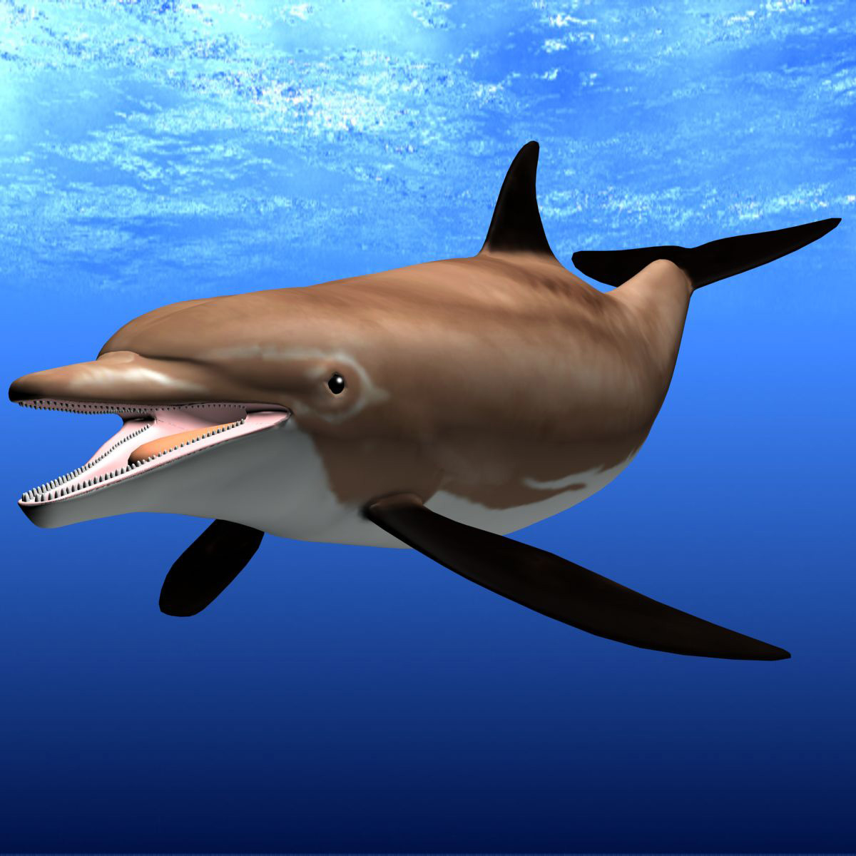 3d model bottlenose dolphine