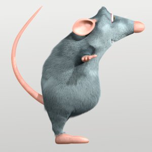 rat fur 3d model