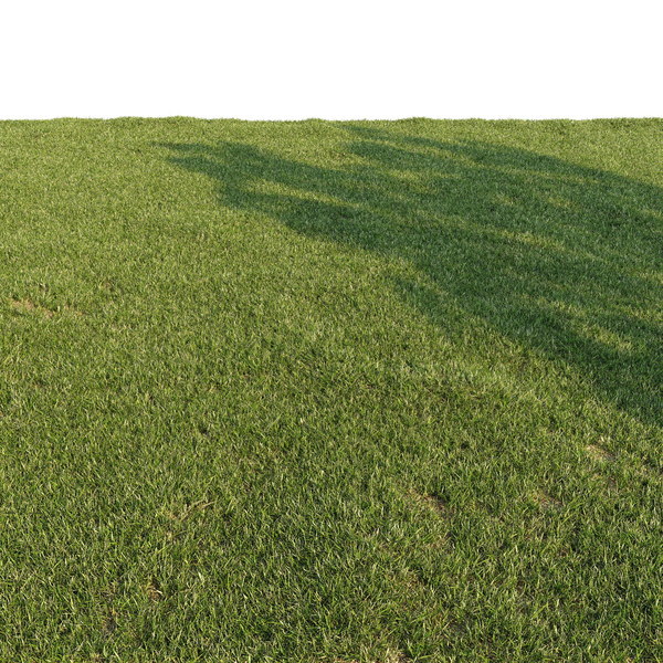 3d grass lawn