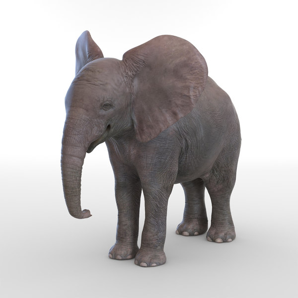 Modele 3d De Elephanteau Turbosquid