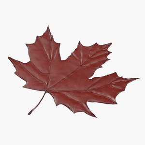 3d red maple leaf model