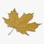 obj yellow maple leaf