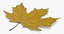 obj yellow maple leaf
