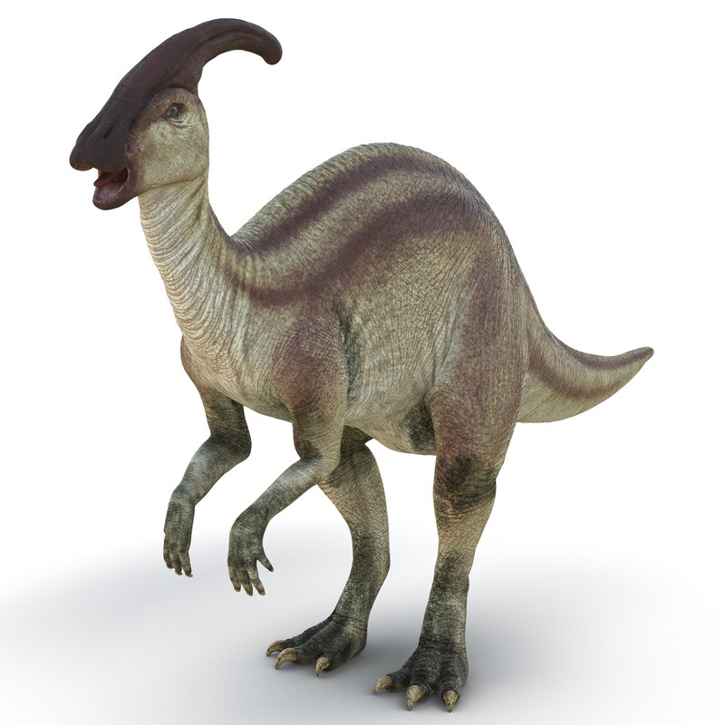 parasaurolophus 3d c4d