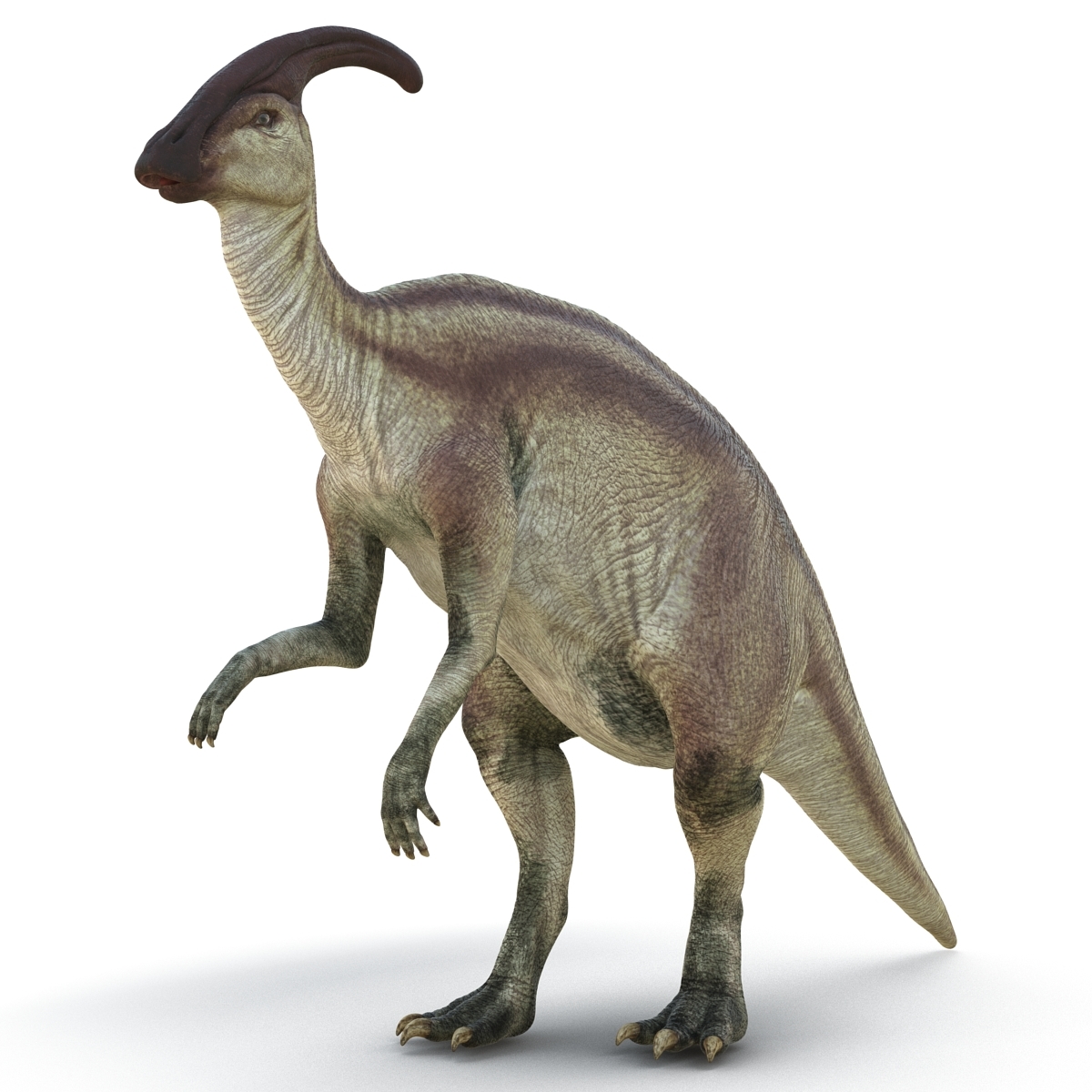 3d parasaurolophus pose 4