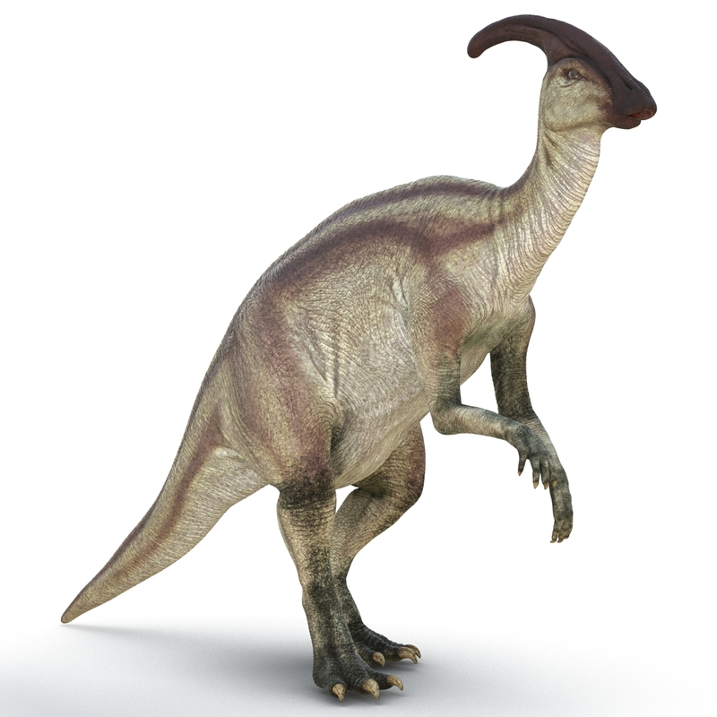 3d parasaurolophus pose 4