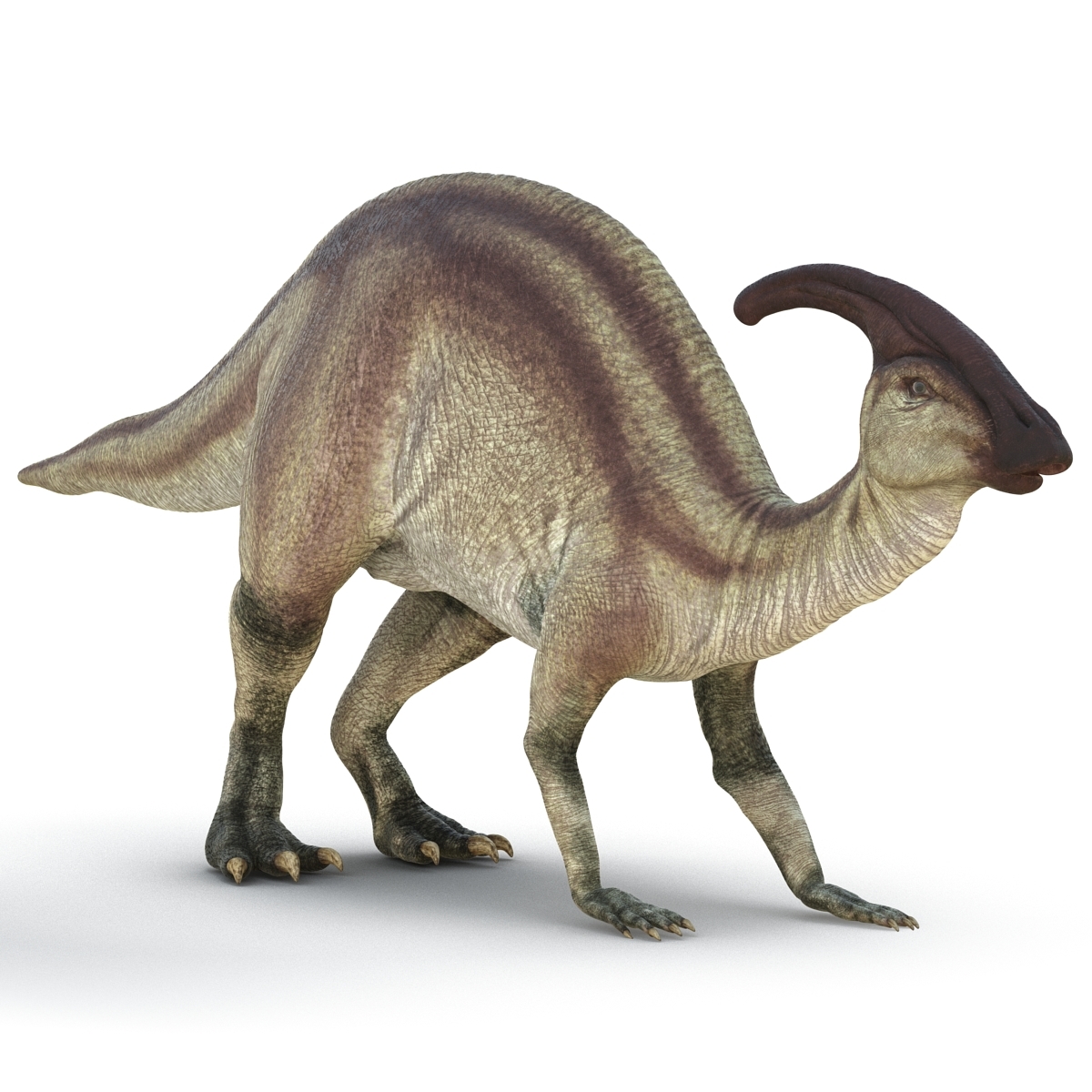 3ds parasaurolophus pose 3