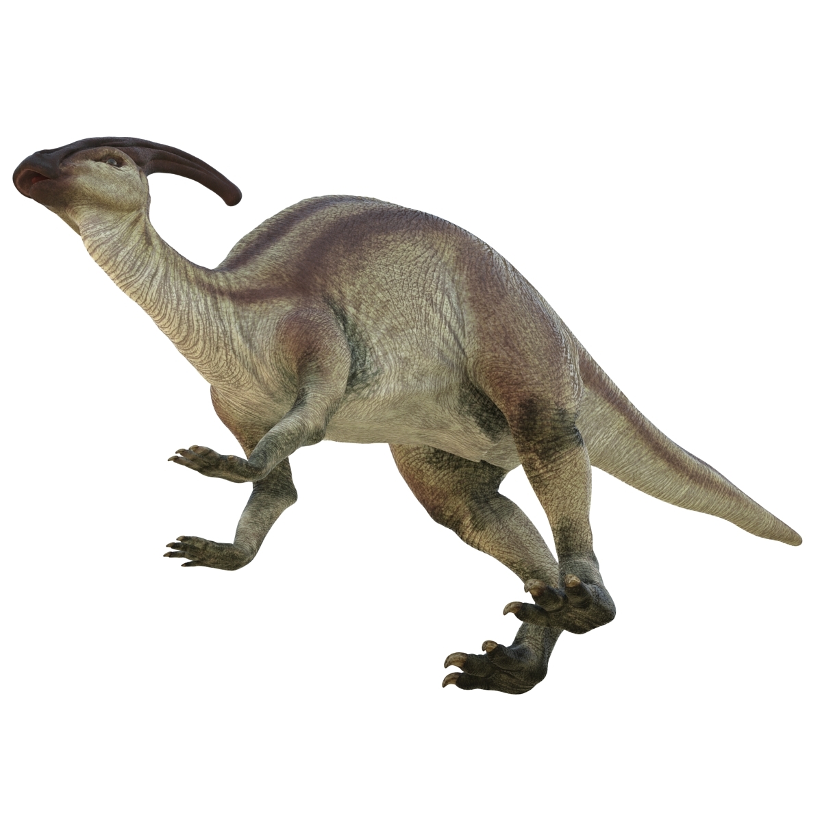 3ds parasaurolophus pose 3