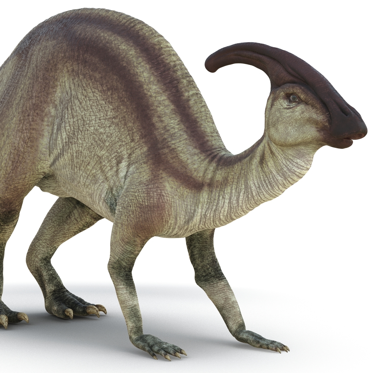 jurassic park 3 parasaurolophus