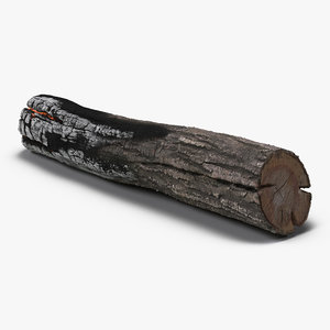 charred log 3d model